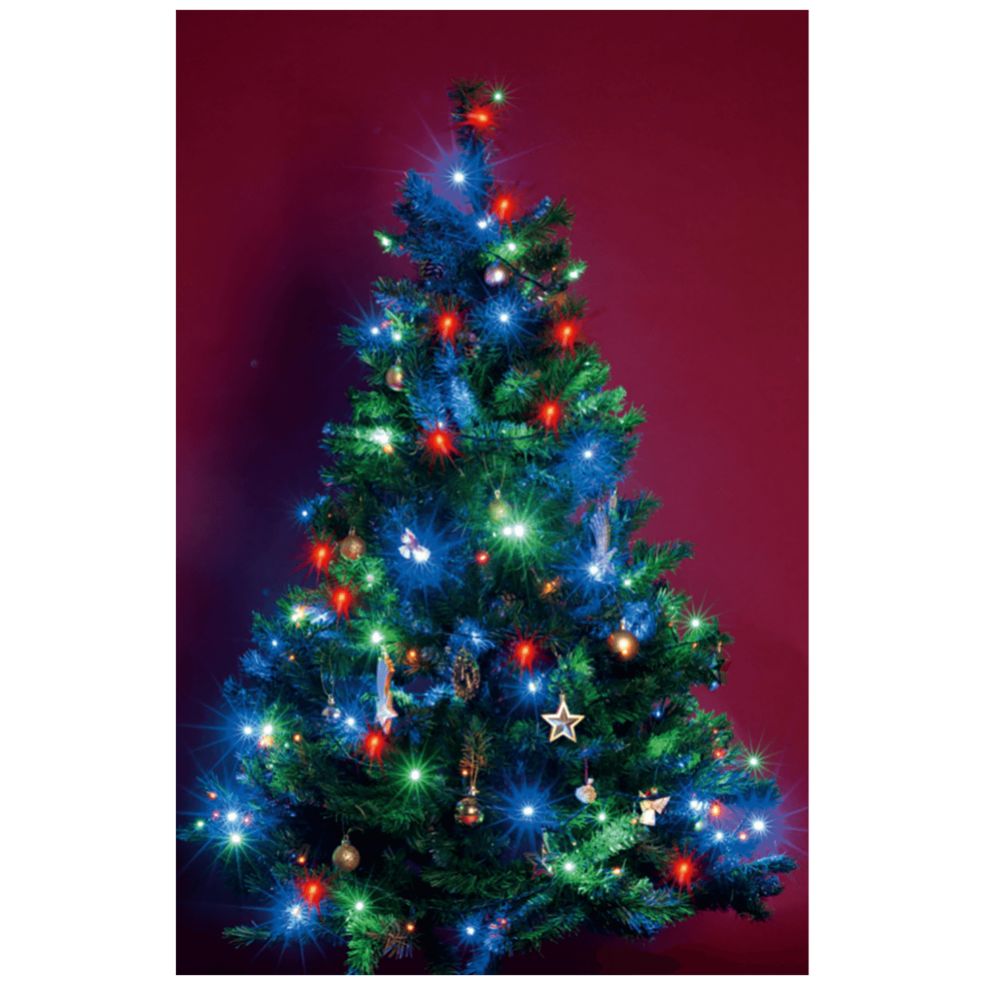 11203_16862246816gjp2mc6lx