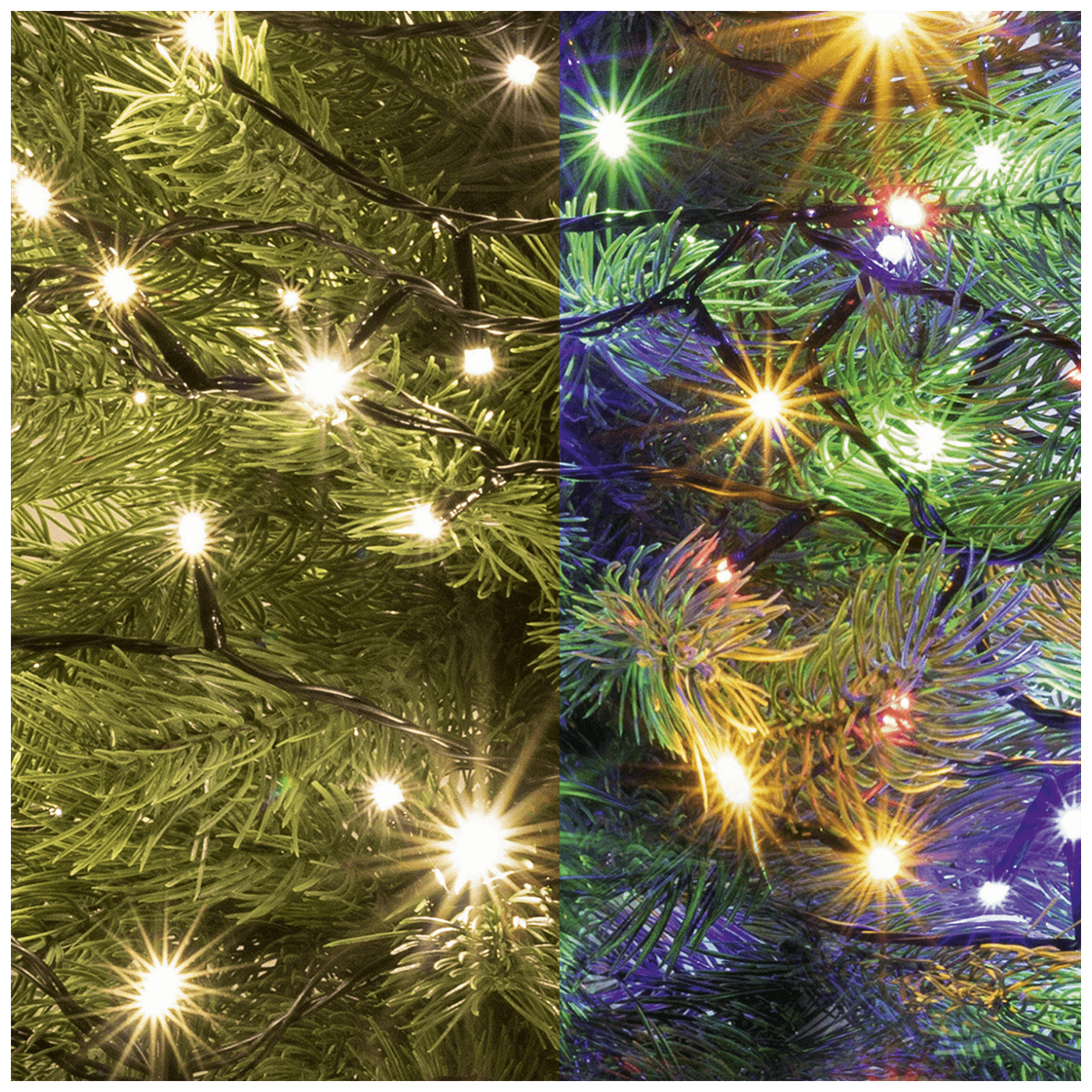 15038_1686236293648x671zgv