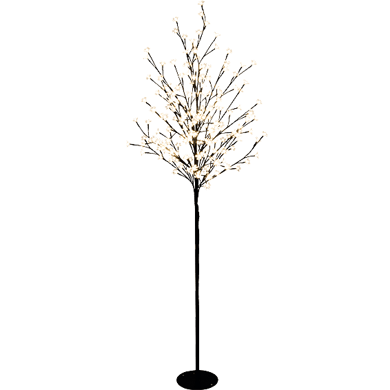 6502_168616532155pzd5m8oi