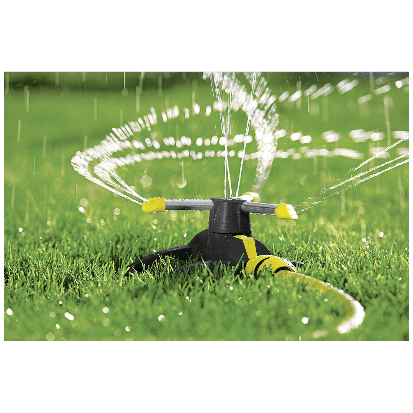 23192_168626622907iz7z3y96