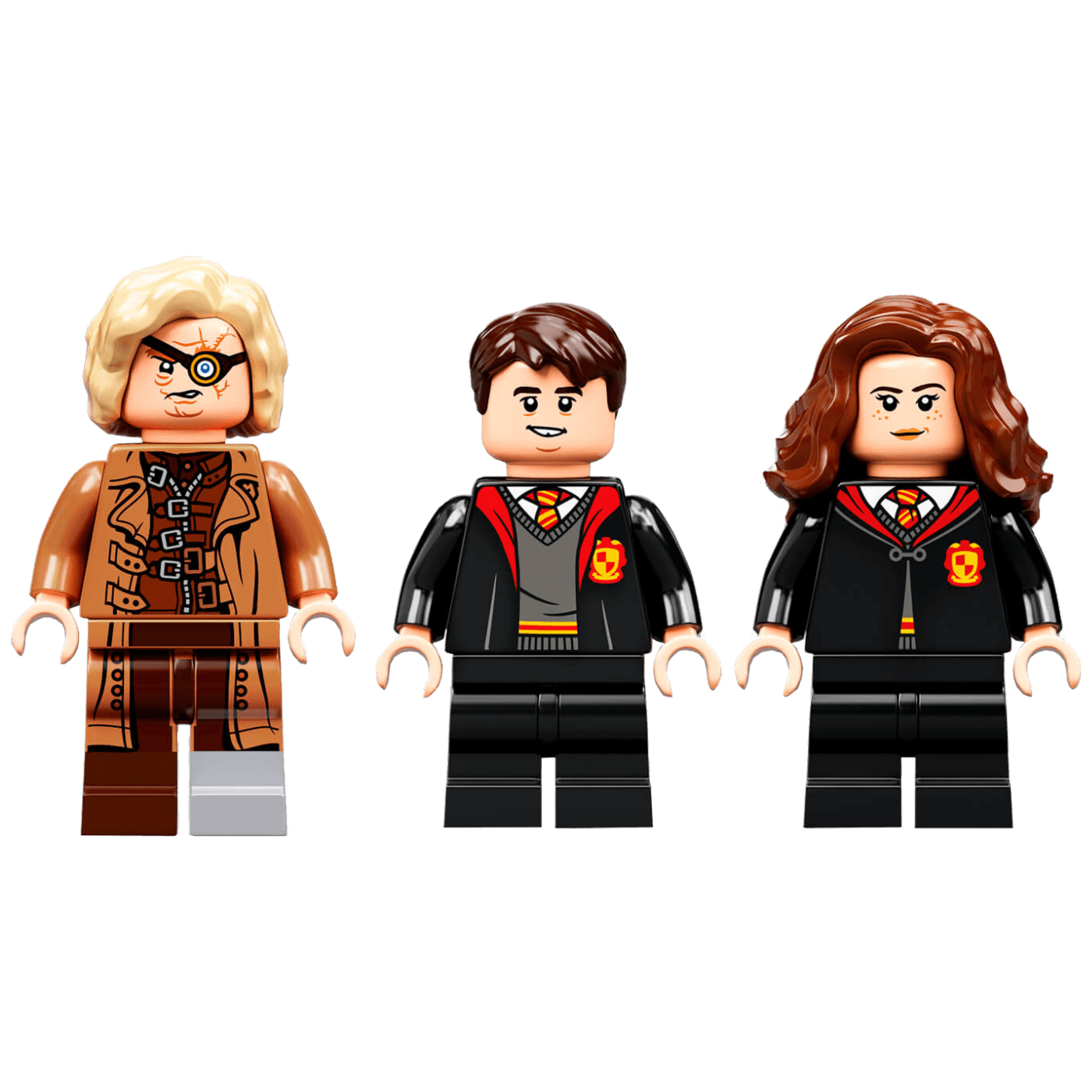 19867_1686256800riigo4osup