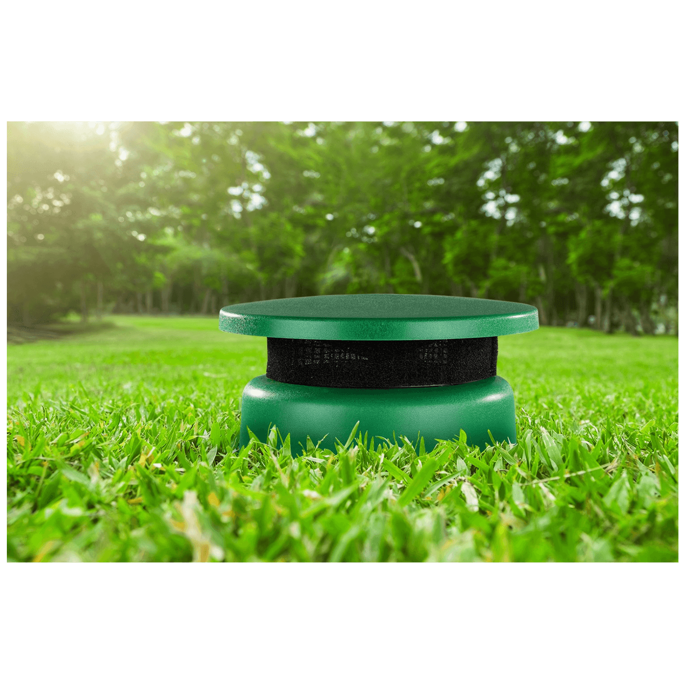 30726_1686312236oi5xabxr9g