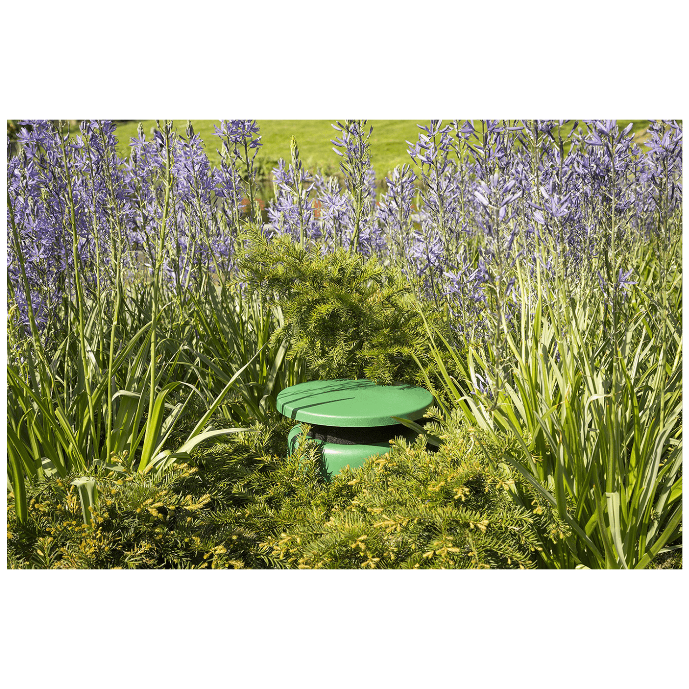 684c3631b78ebd94baf42406