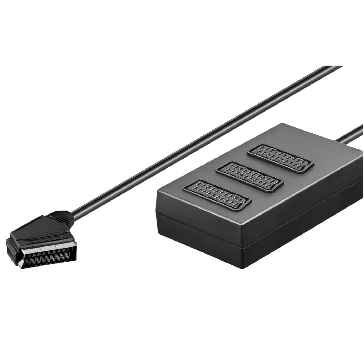 1359_1686157499b2p0rz0ij0