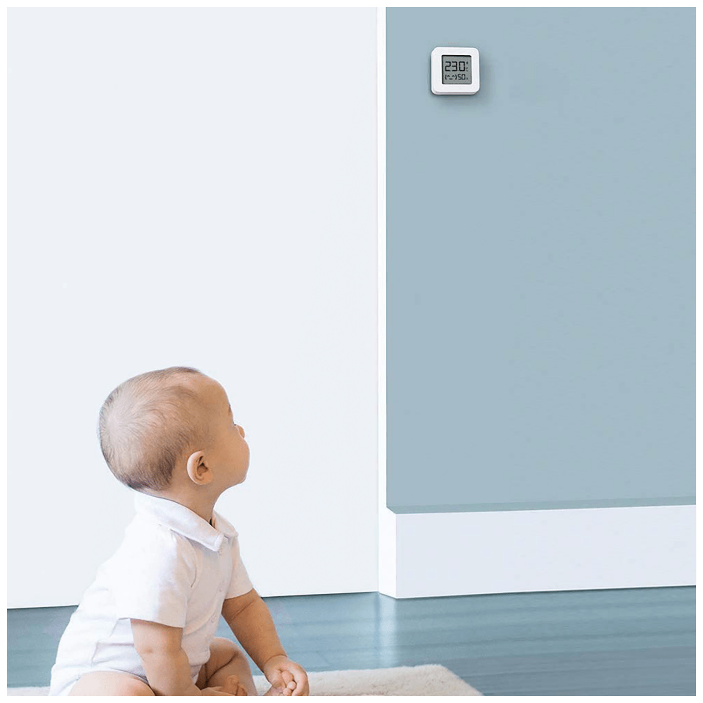 17790_1686250398t0rruur5xb