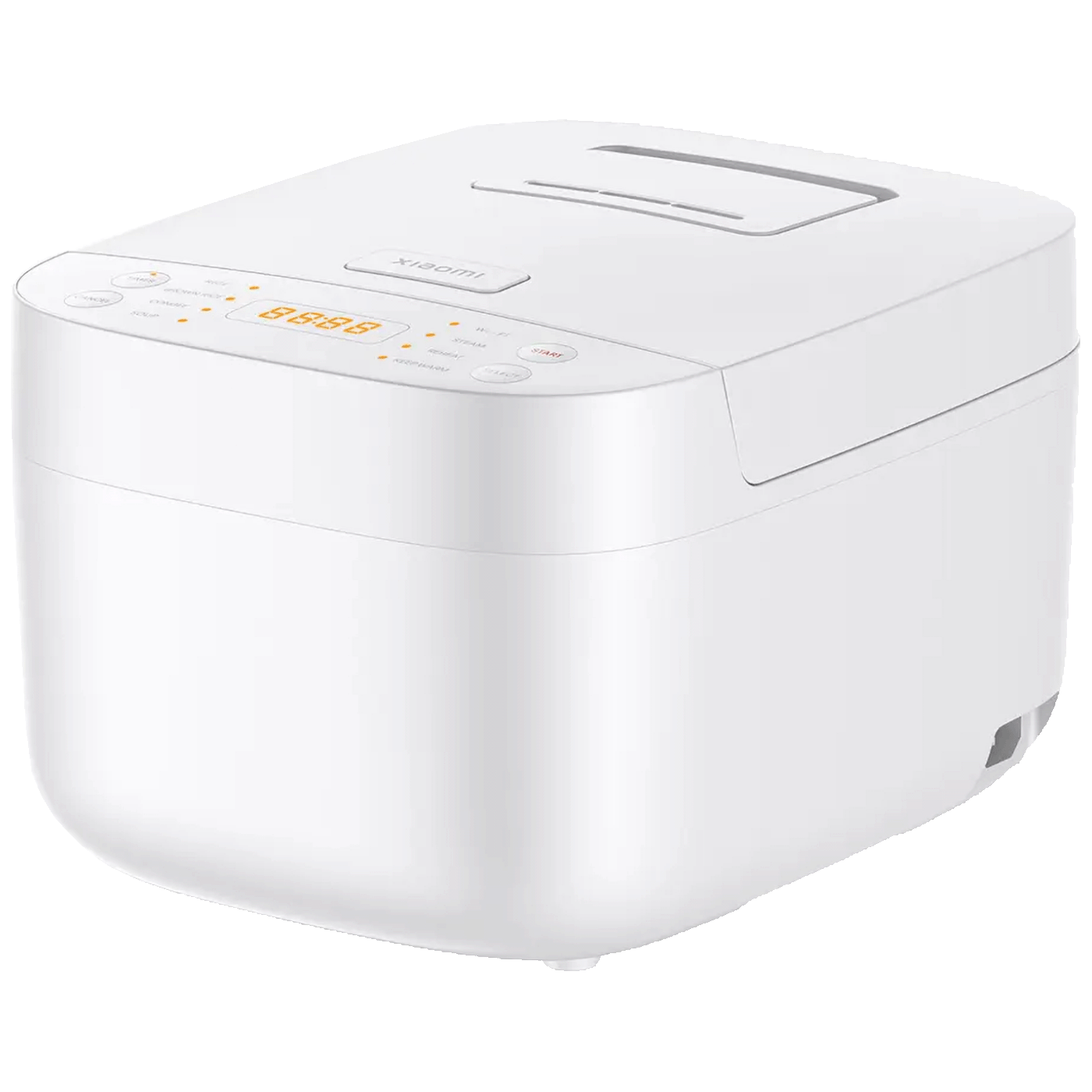 56457_1737370924firpex87s0