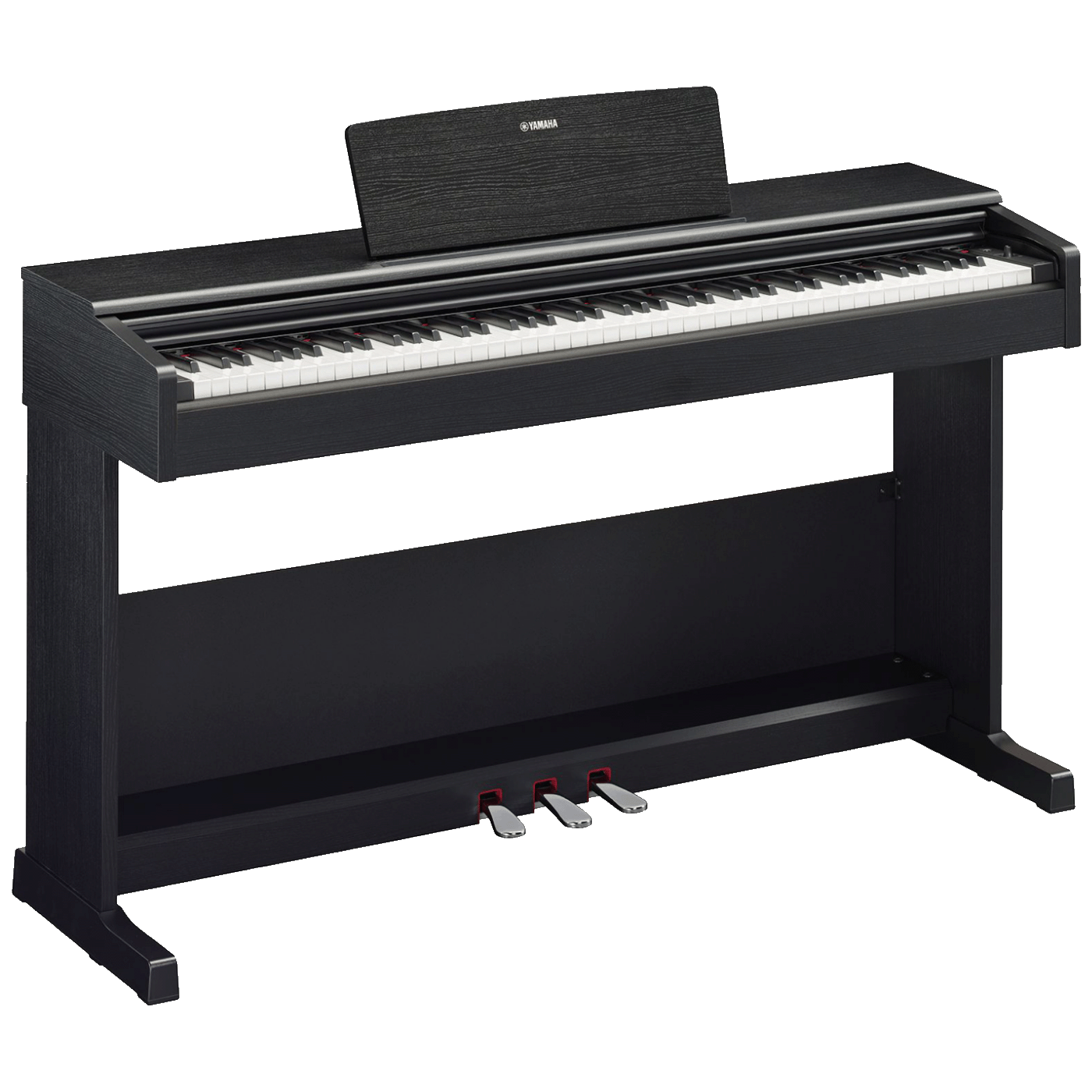 54037_1733494966ry4z9v76vg