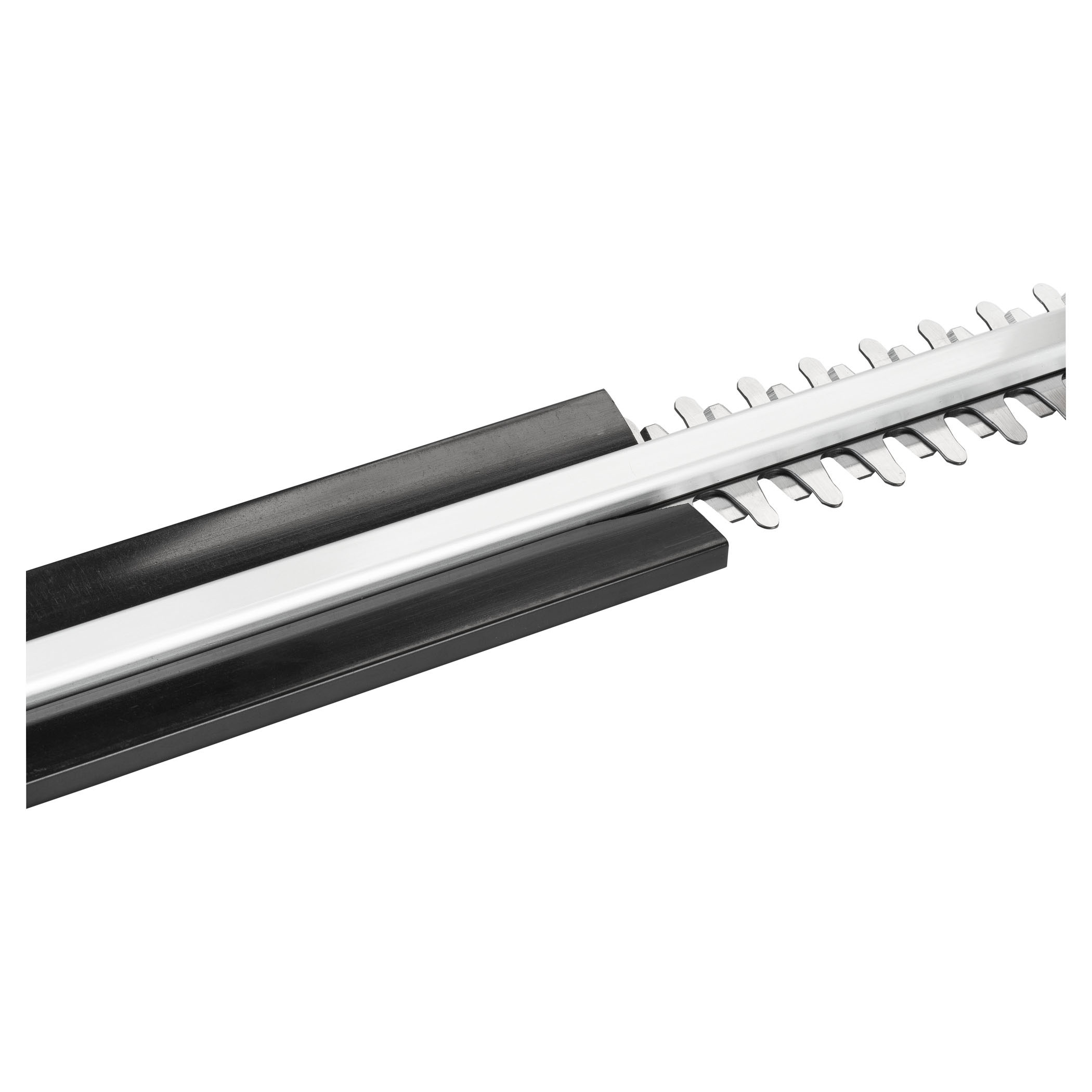 6852969c8879f4d4db847030