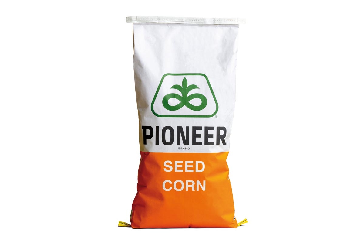 Kukuruz PIONEER P9241 (FAO 290) Force