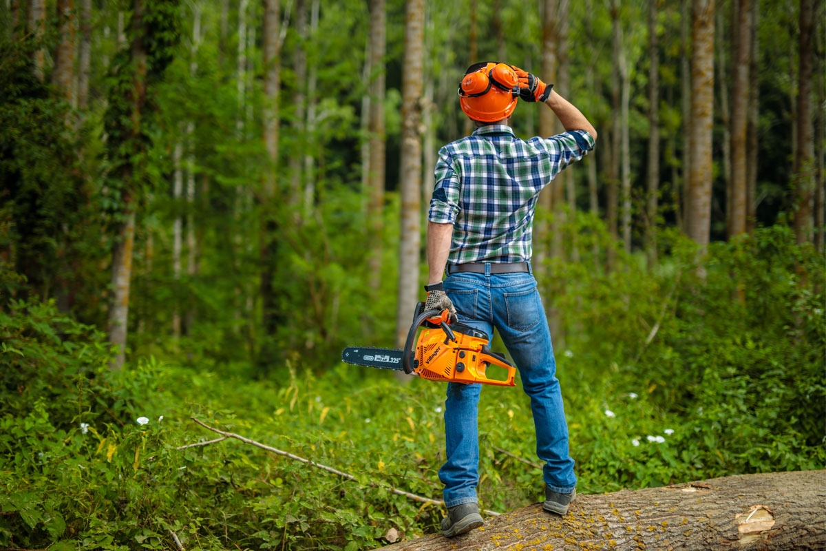 686471efe98047d4e3ba95cc