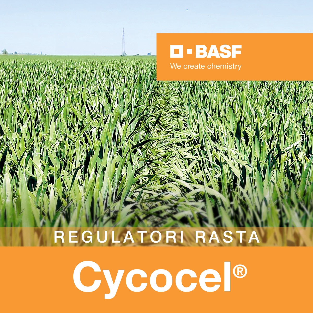 Cycocel 750 10 l