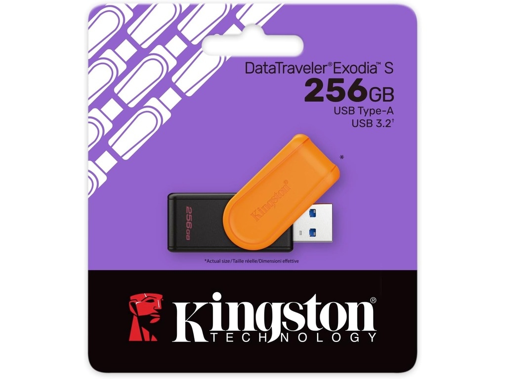 DTXS256GB_250516090527512