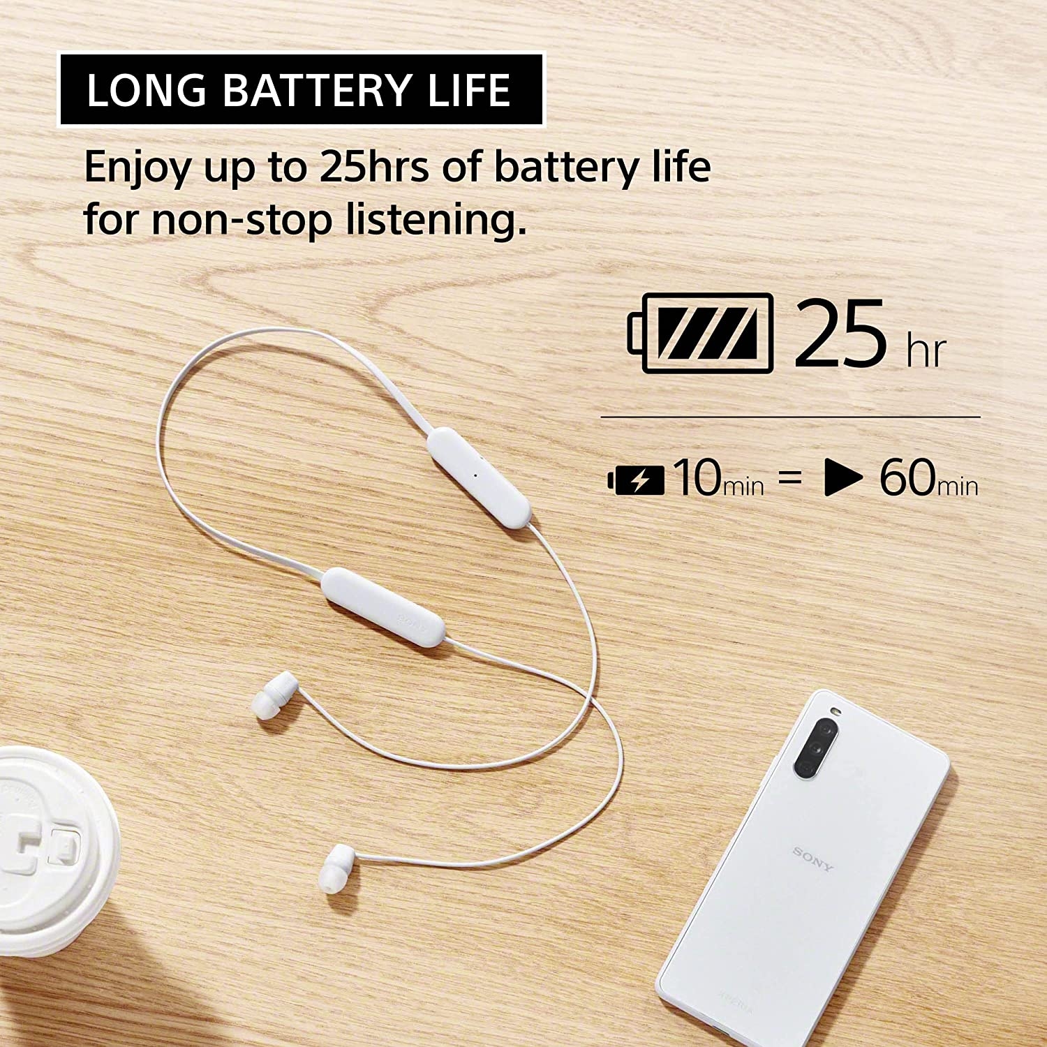 WIC100W.CE7_3