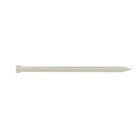 workers-best-Cavli-CeliCni-1-4x25-100-1-pocinCani-26251_1920x1920