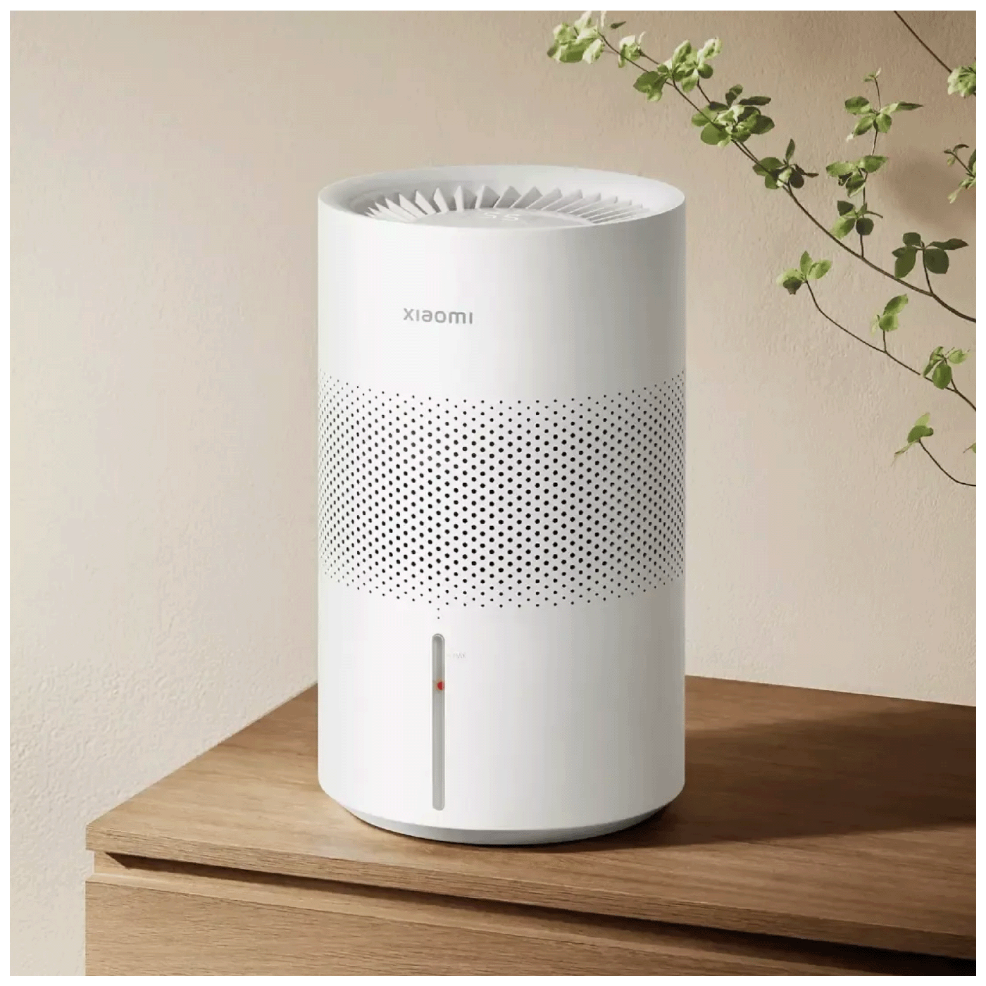 51112_1759389649mmr07cgjsp