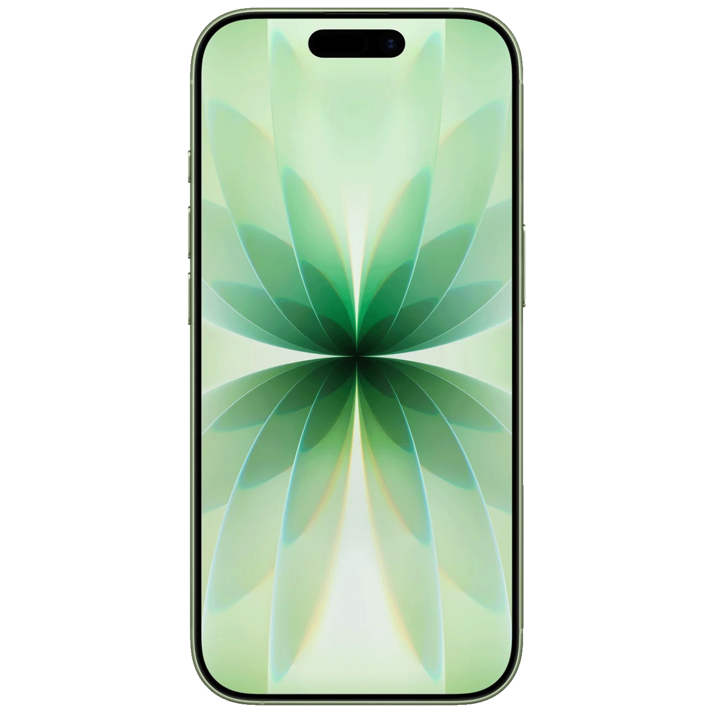 68076_1759752855vgzbtph21b