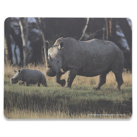 0059605_podloga-za-mis-manhattan-national-geographic-423373