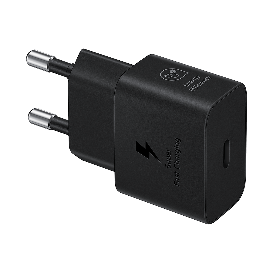Punjač SAMSUNG ORG. 25W Super Fast Charging Type-C Wall Charger Black EP-T2510NBEGEU