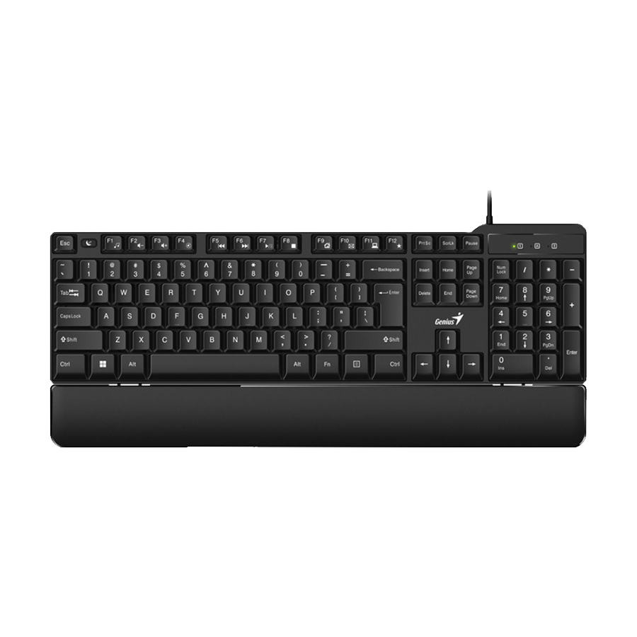 Tastatura GENIUS Smart KB-100XP USB, BiH, 31310050408