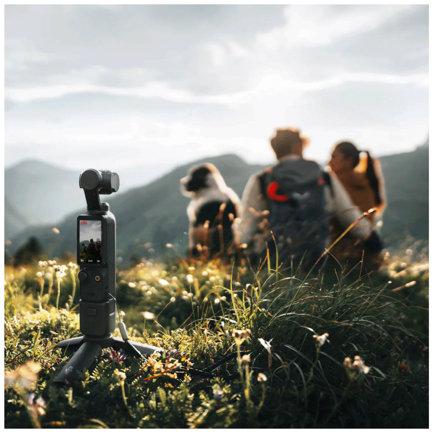 68eb020c7d0c4e5c9f78434c