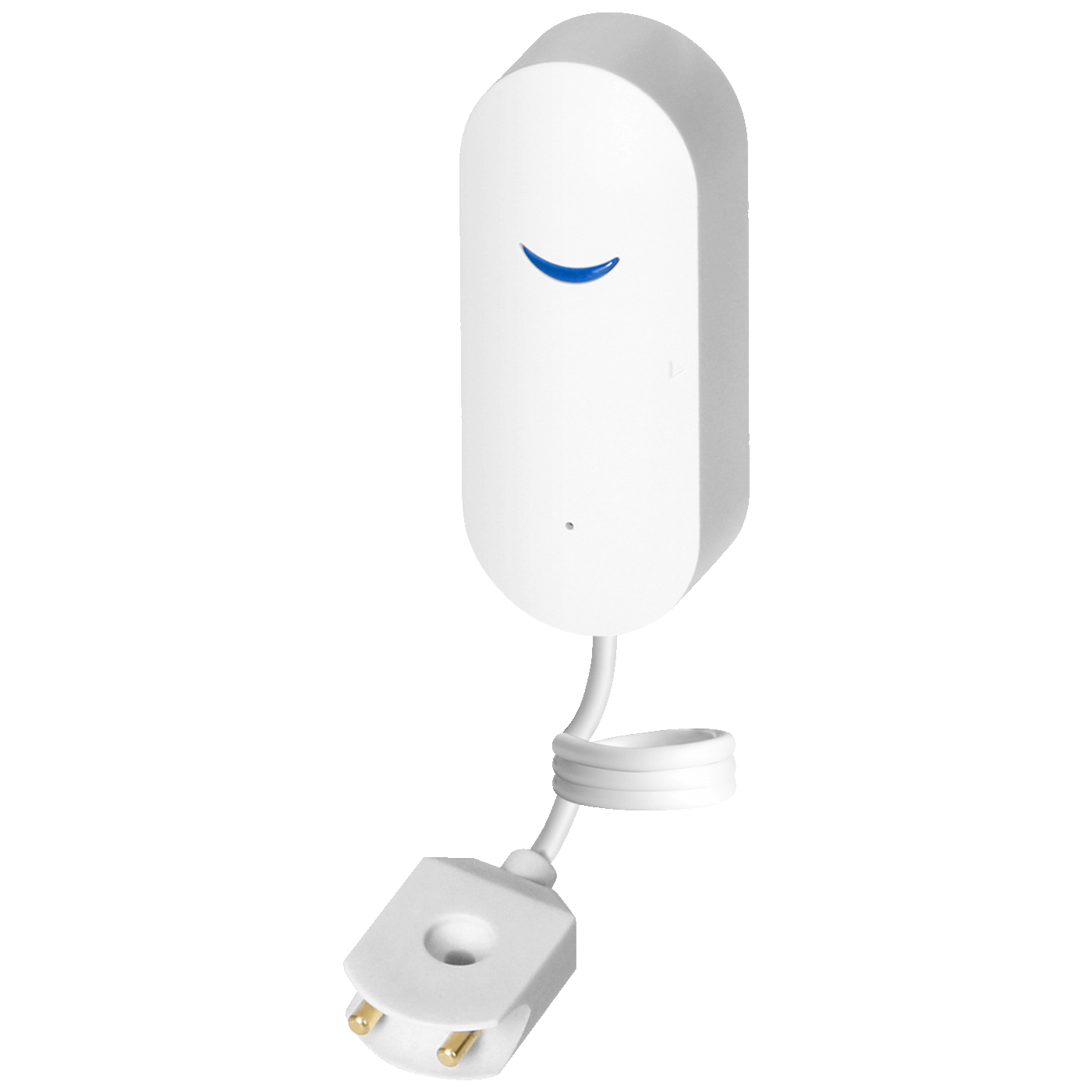 71666_1763128744r45ixdbvx3