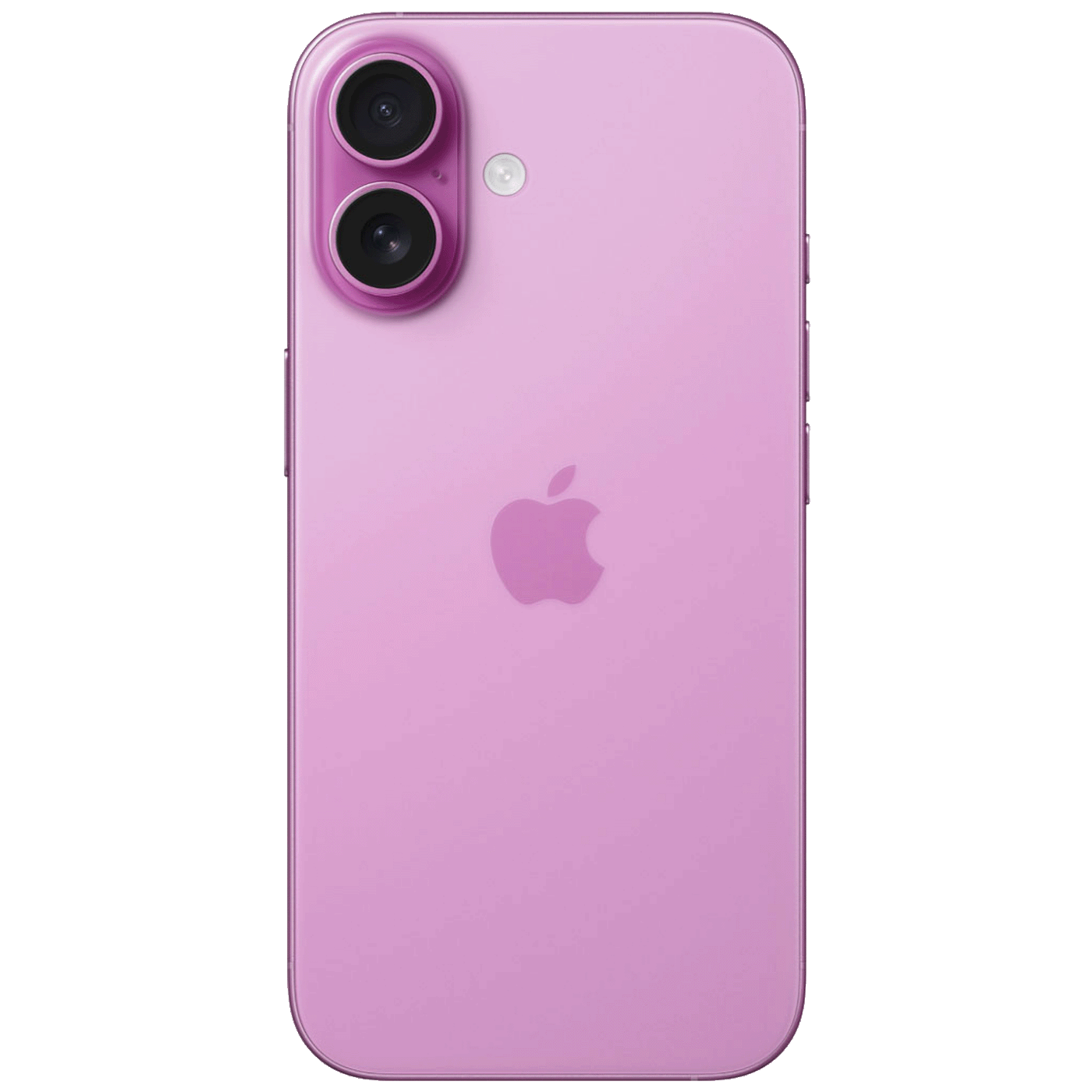 49410_1727081960bx2k85rfmi