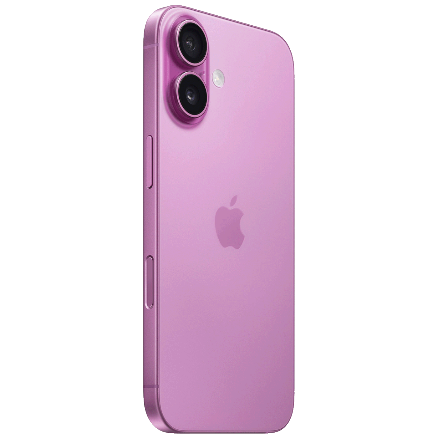 49410_17270819639zpgajtolp