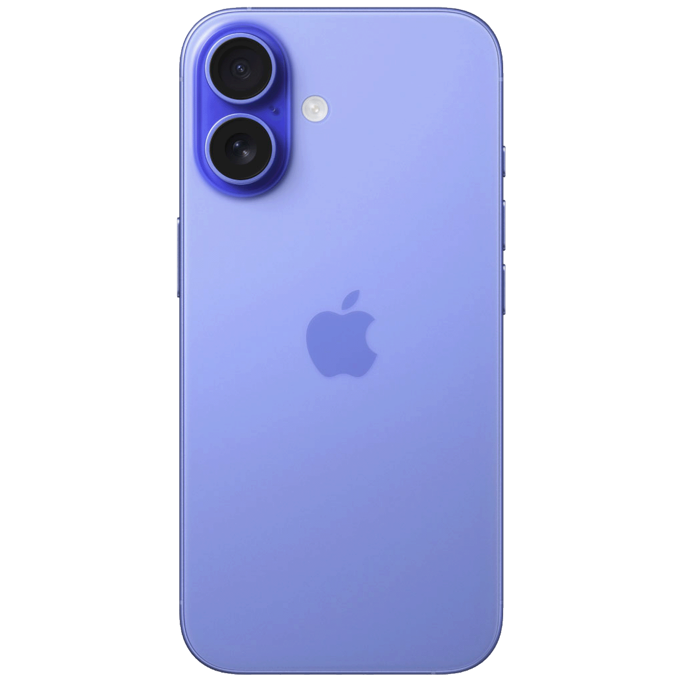 49411_17270831518uletf5zbj