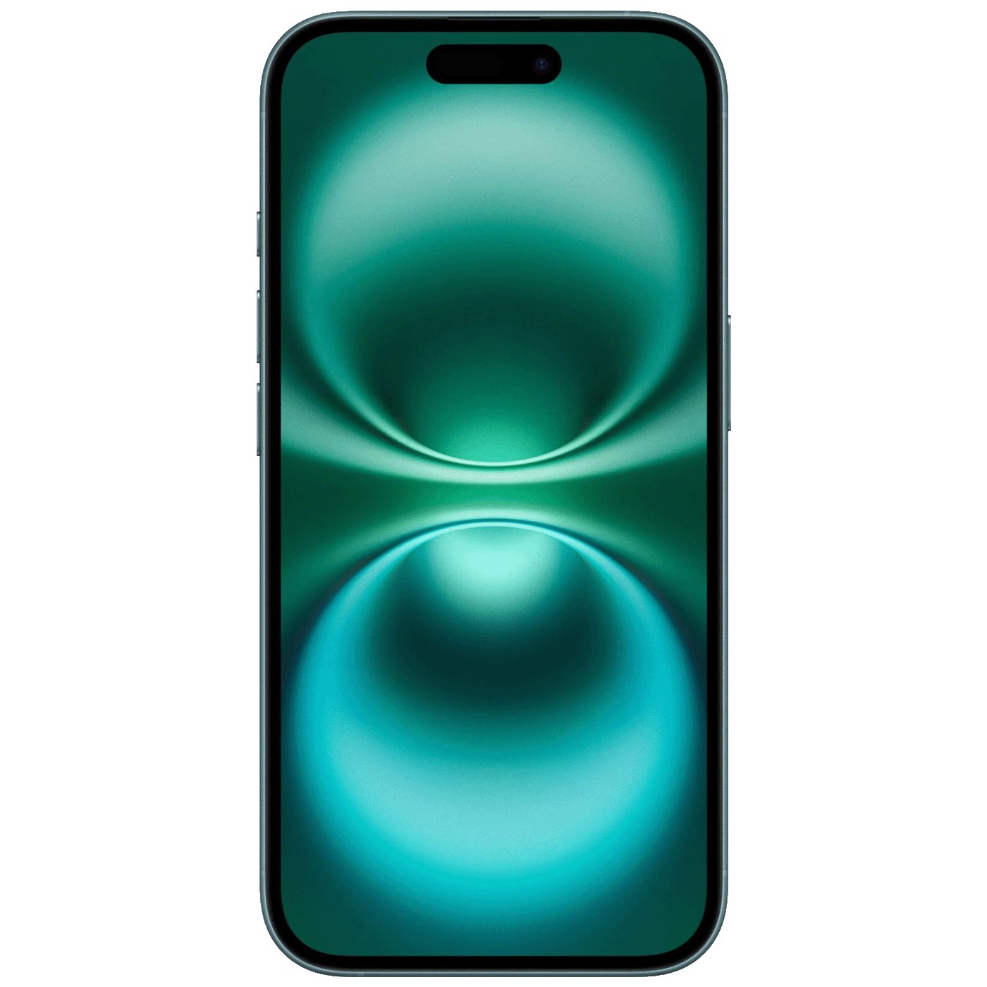 49412_1727083675y726ezvlap