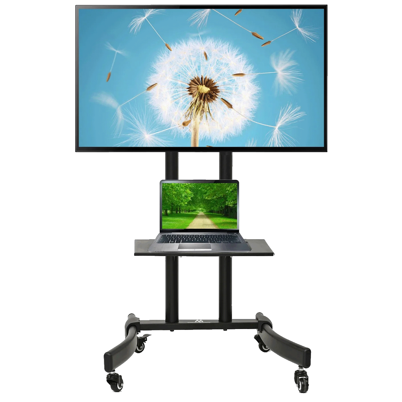 31985_1743170857yraerup1sx