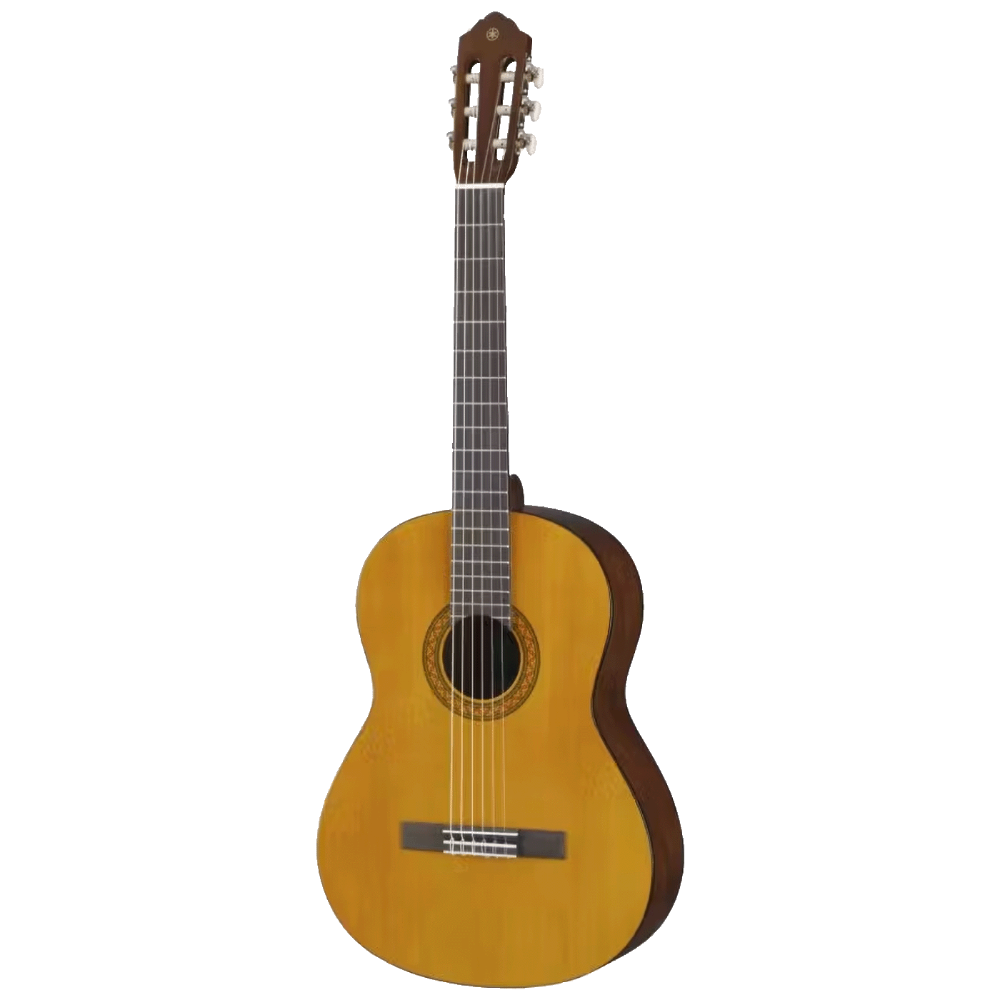 60231_1742997324ia7apvzgho