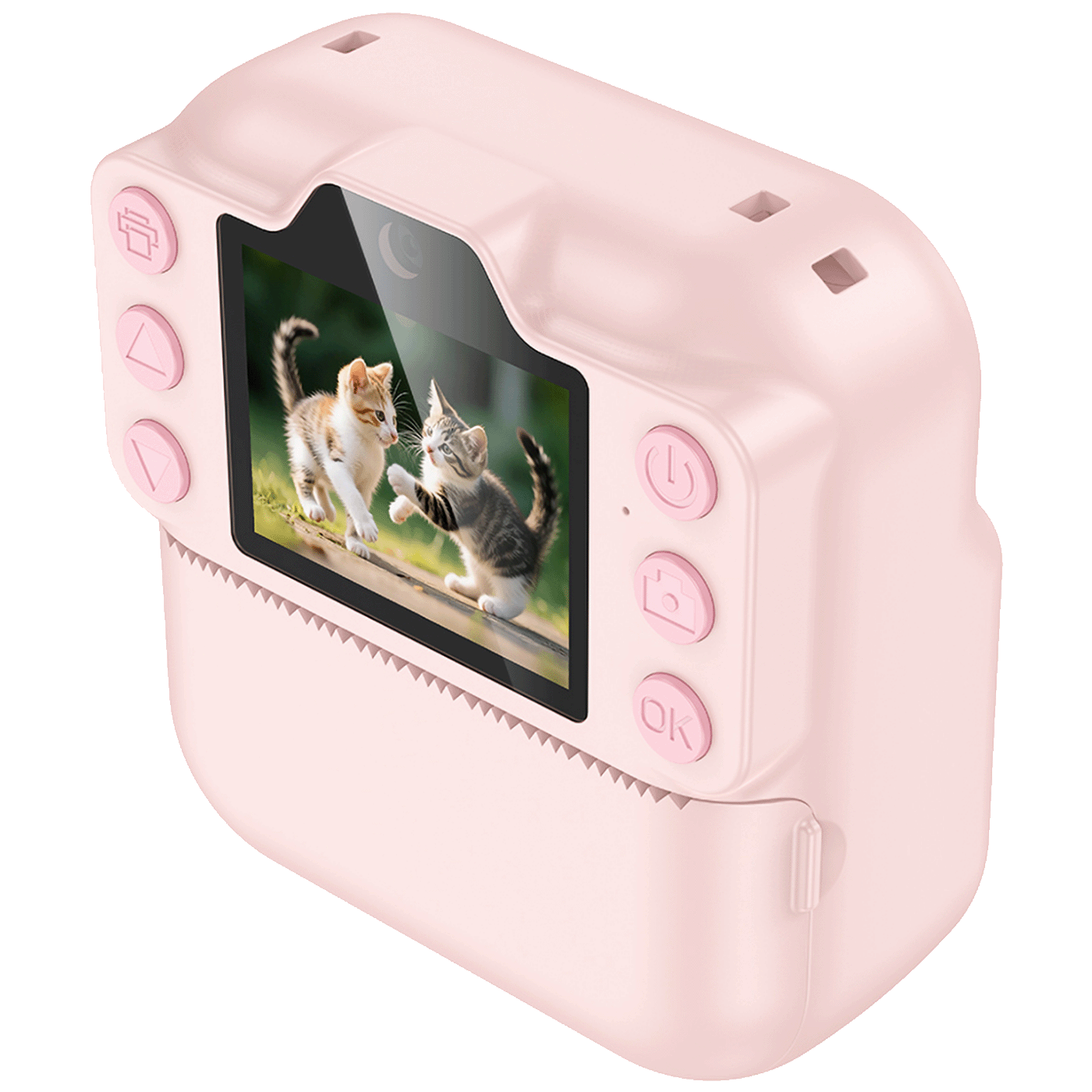 71864_1763995387l5305fr4s7