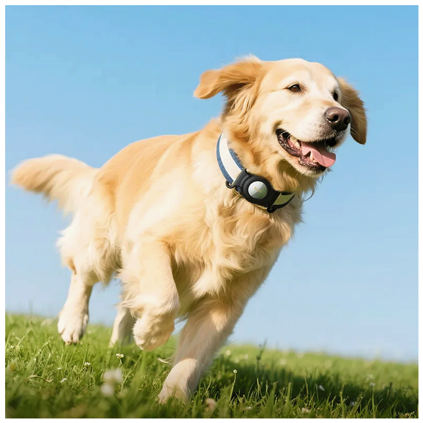 694212c90859f96c85737e58