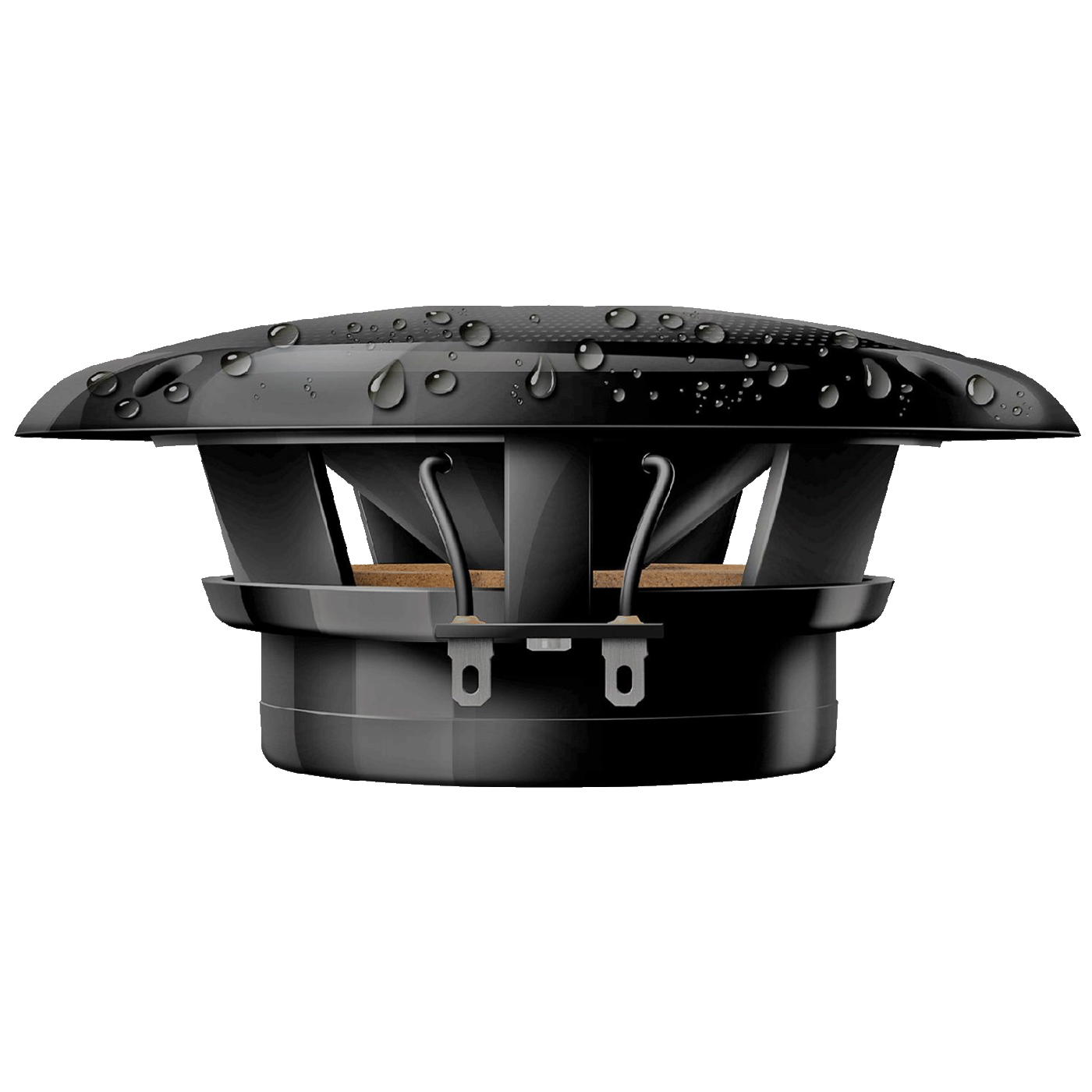 71798_1769241115utjd5djvum