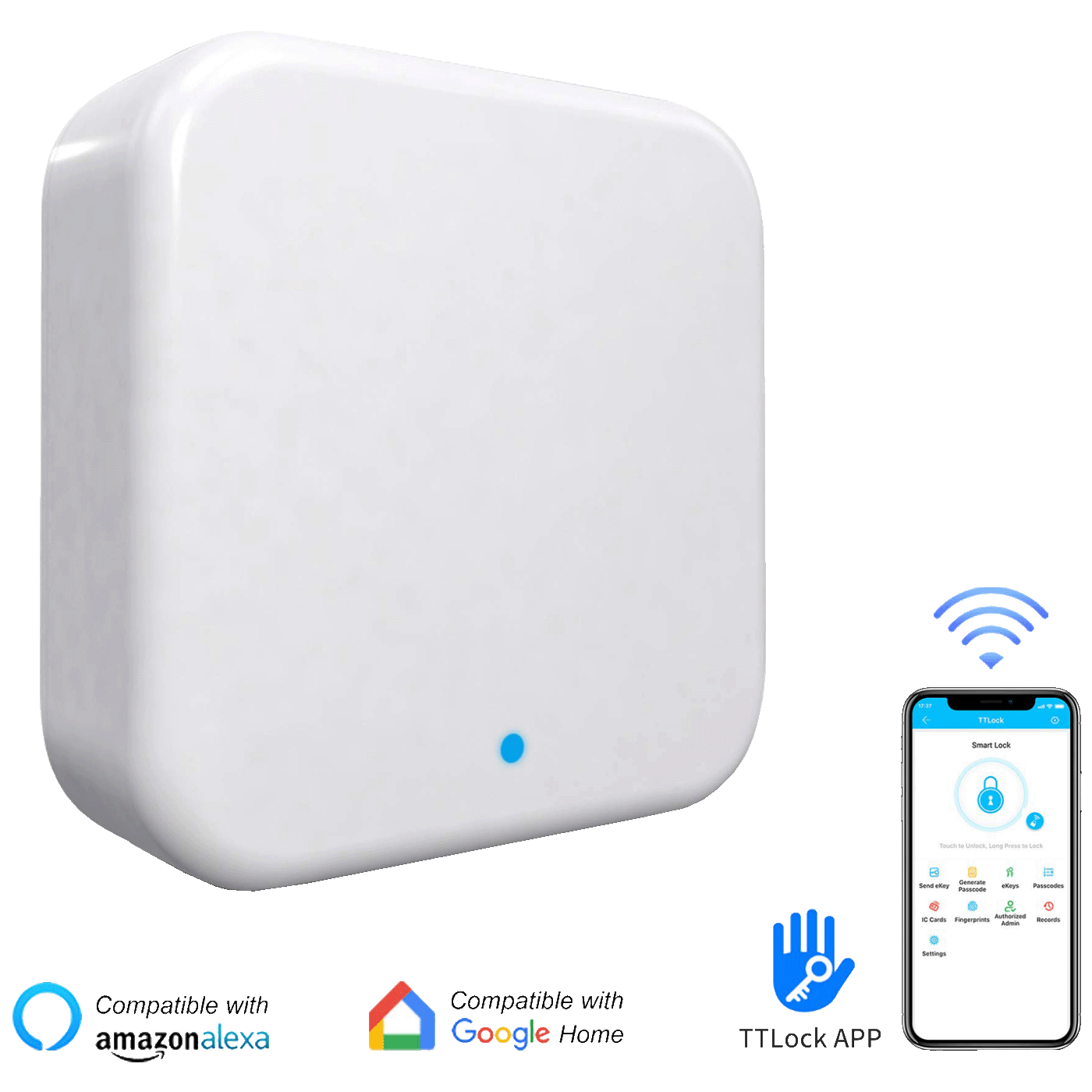 74339_17696820197san1flk9e