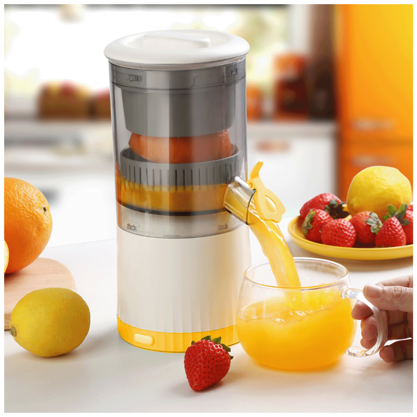 74497_1770288765319sys6p1t