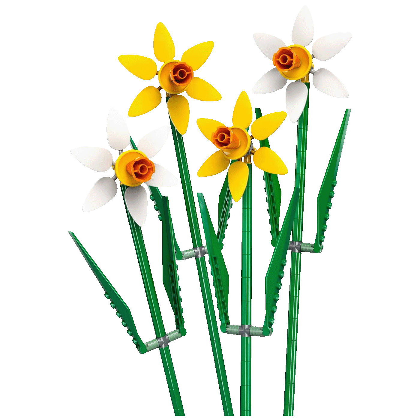 55257_1770021758sfb0r1lbnf