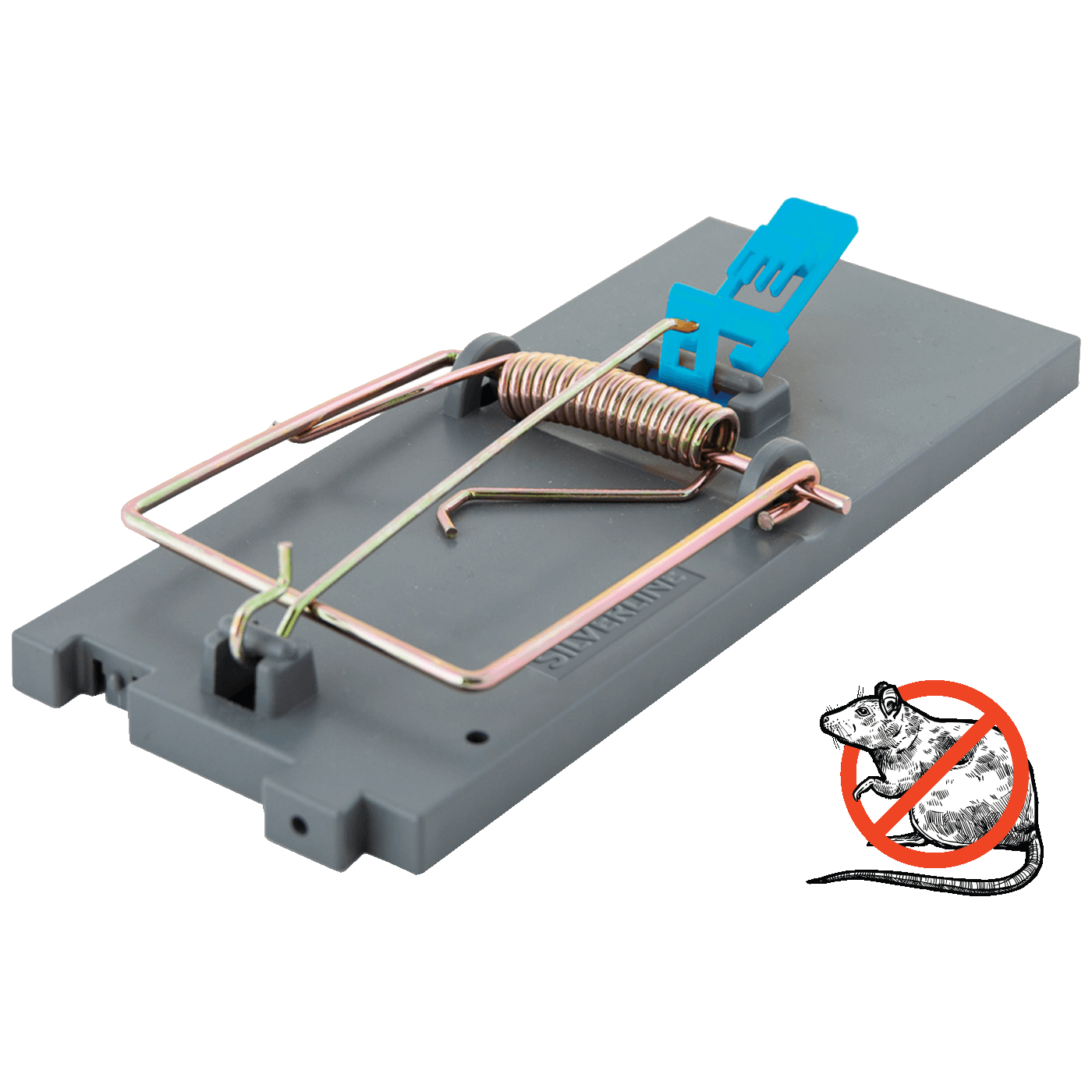 68153_17720035842rrsgi4nne