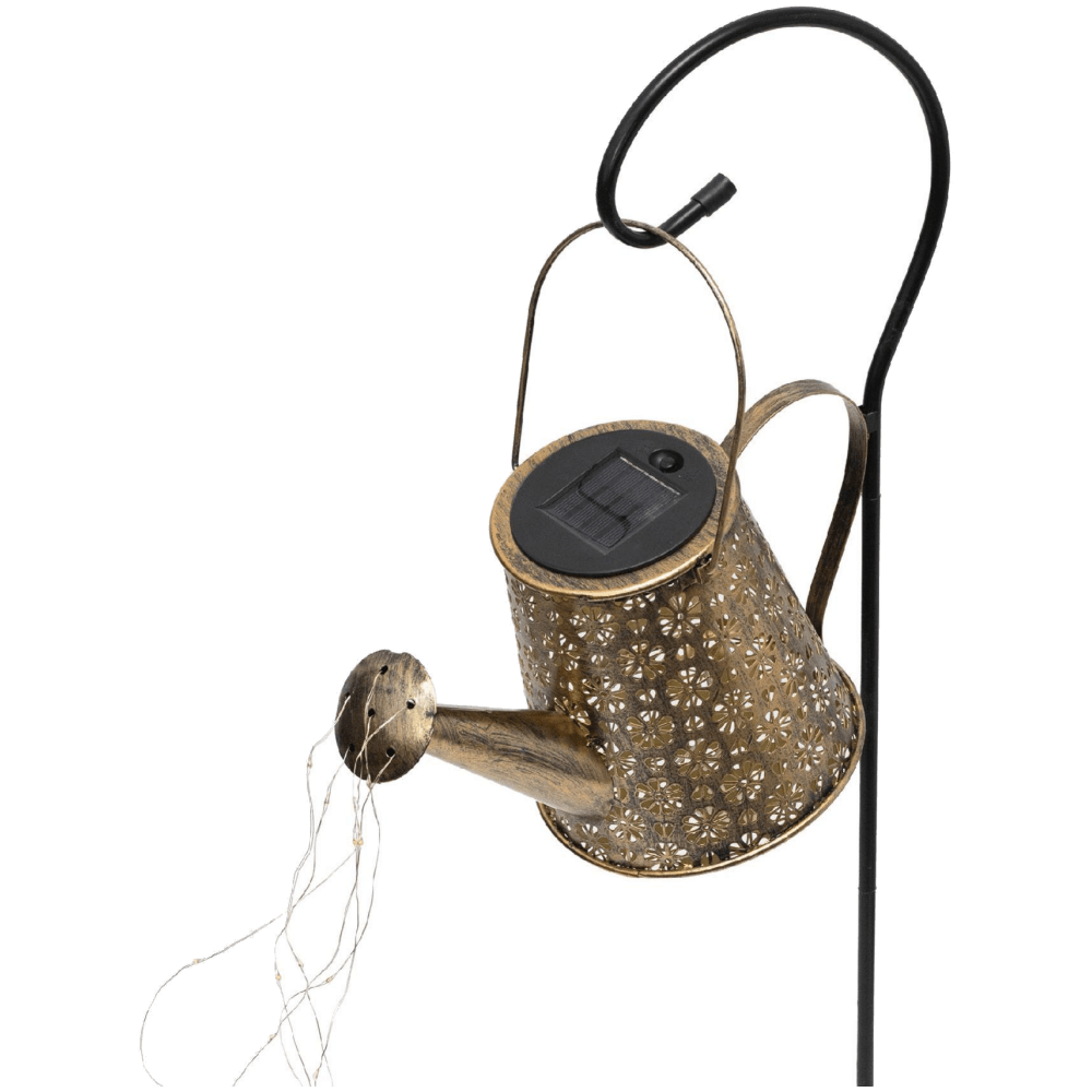 60216_174236182348ojnstvcf