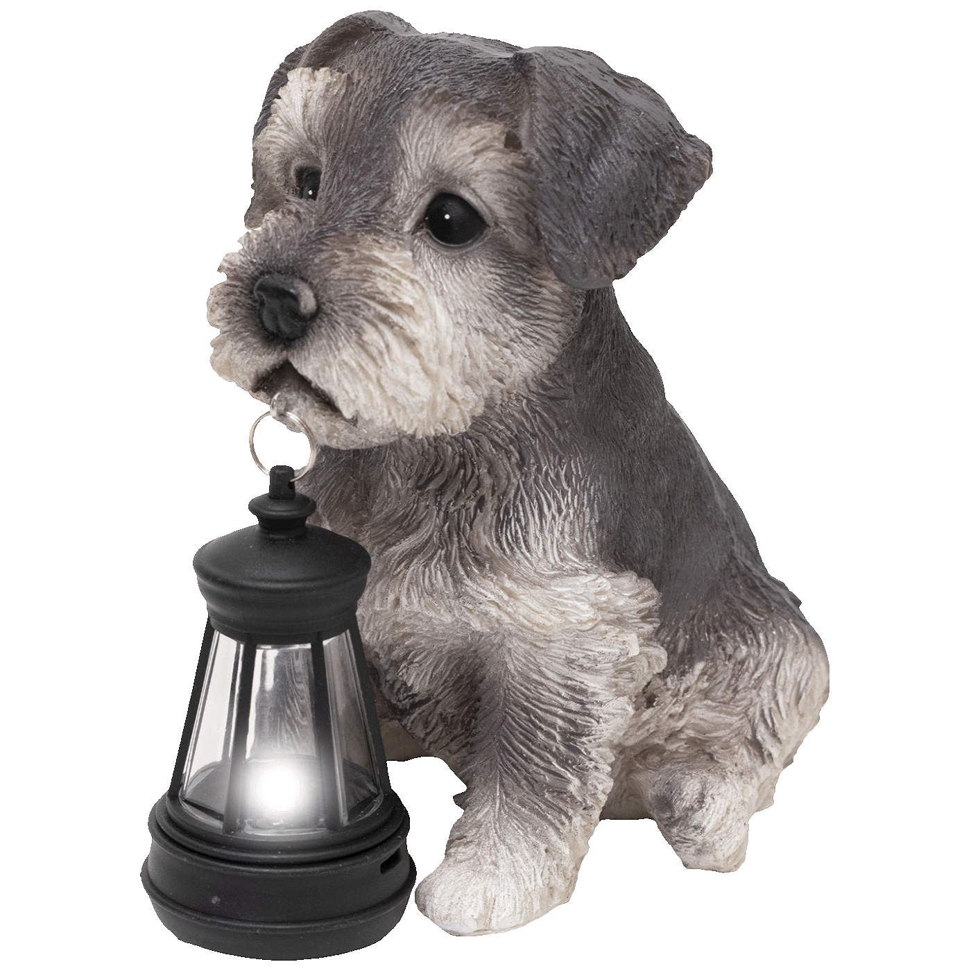 75971_17738244688e076yak28