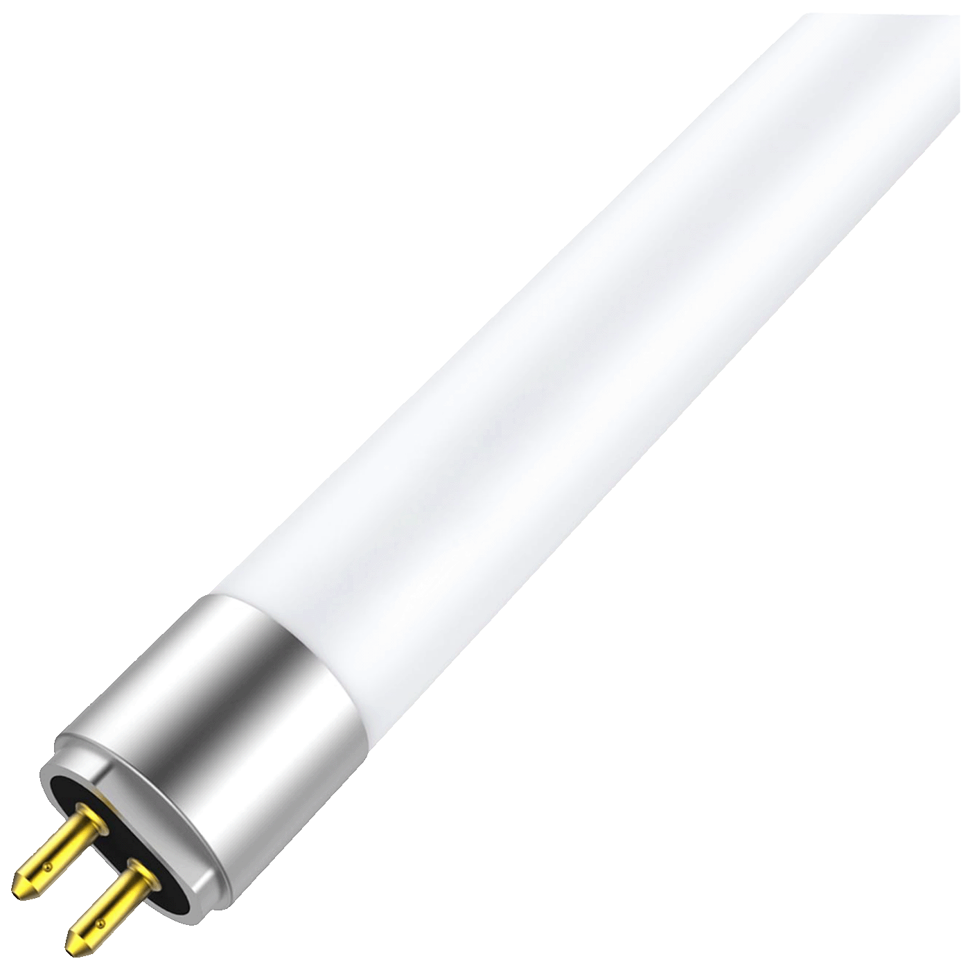 74017_1775199741mybd85z7vn