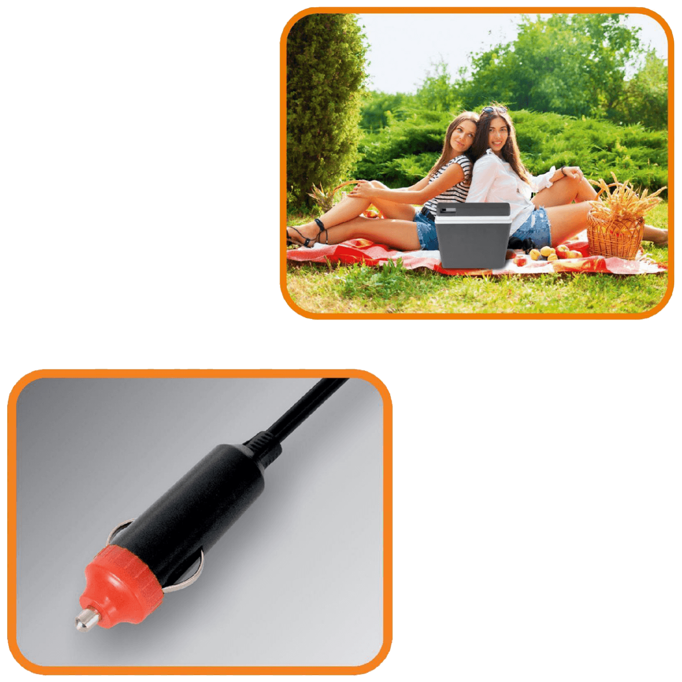 13209_168623073278ddv9rjkc