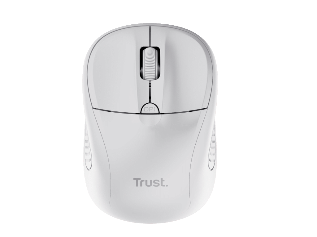 24795_230203030244012