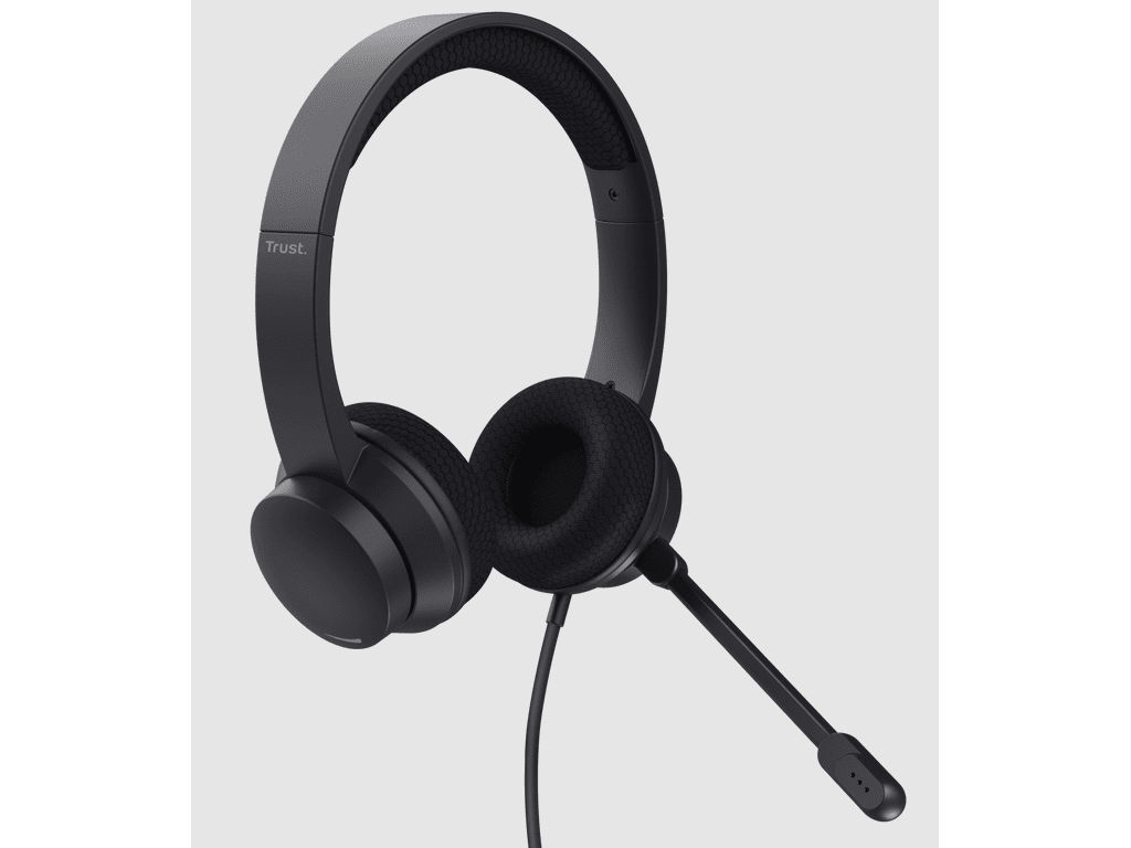 25089_240205030238516